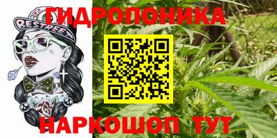 трава Будённовск