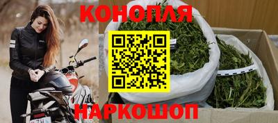 гашик Бузулук