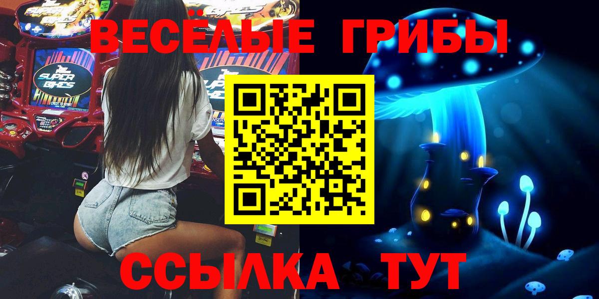 Псилоцибиновые грибы мицелий  Галлюциногенные грибы мицелий  Кудымкар  где купить наркотик  Вход с VPN 
