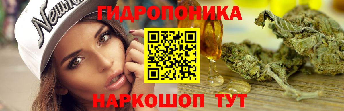 Бошки марихуана AK-47  Вход с VPN  Канабис конопля  МАРИХУАНА VHQ  Кудымкар  Бошки марихуана OG Kush 